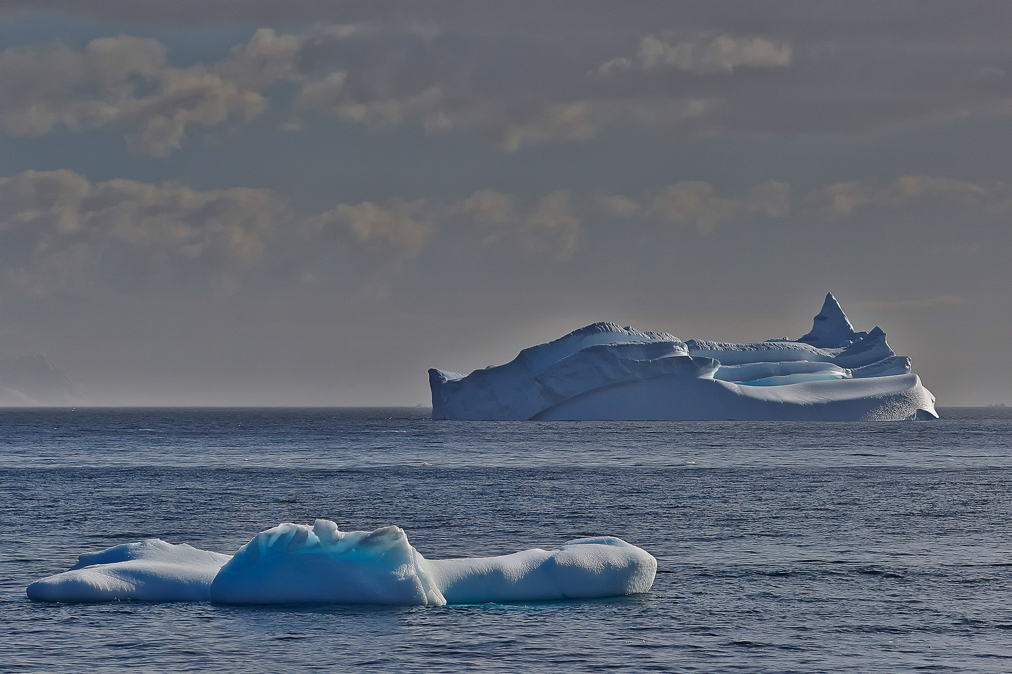 Eisberg im Antarctic Sound